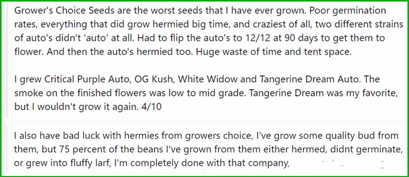 Growers Choice Seeds Forum