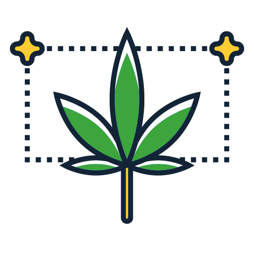 autoflowering cannabis icon
