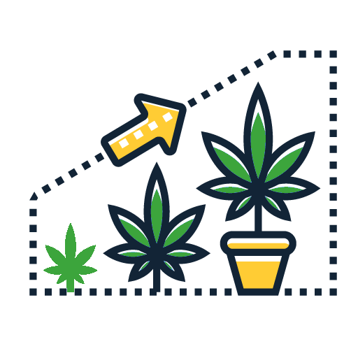 cannabis plant growth stages icon