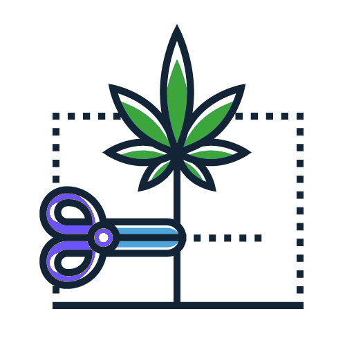 Cannabis Plant Training Icon