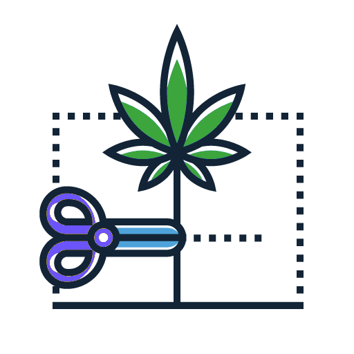 How to Grow Weed - Expert Tips & Cannabis Grow Guides 1 Cannabis Plant Training Icon