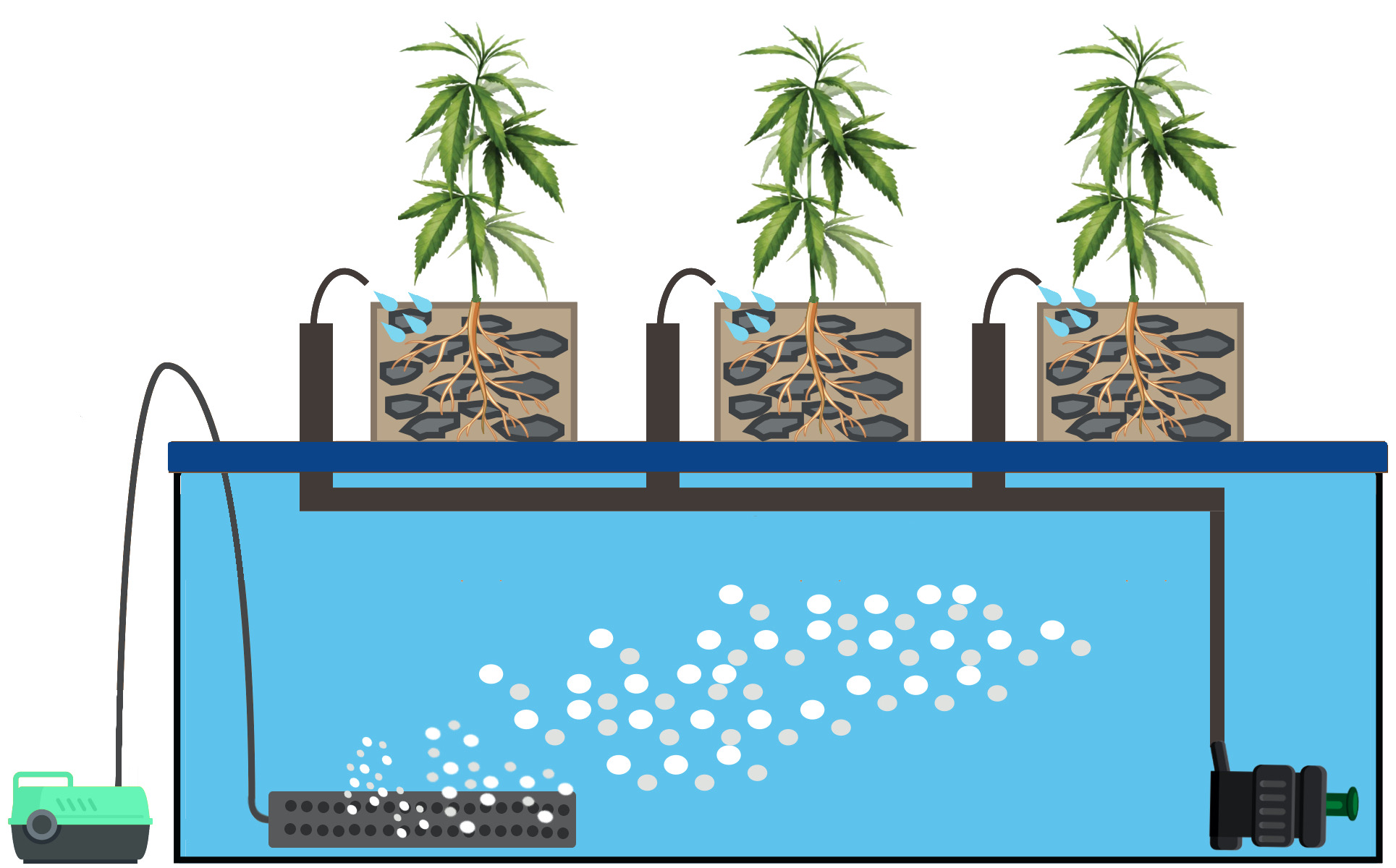 Drip Hydroponic System Diagram