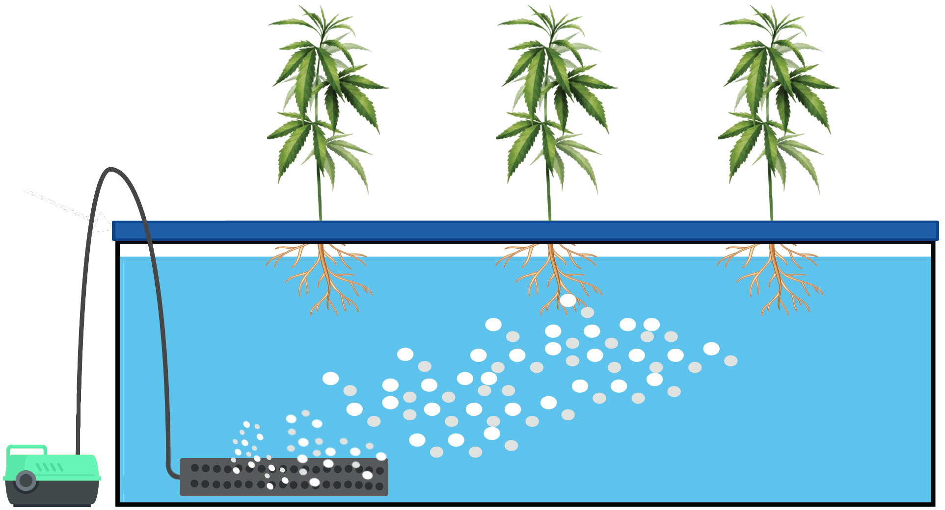 Deep Water Culture (DWC) Hydroponic Systems 3 DWC Hydroponic System Diagram