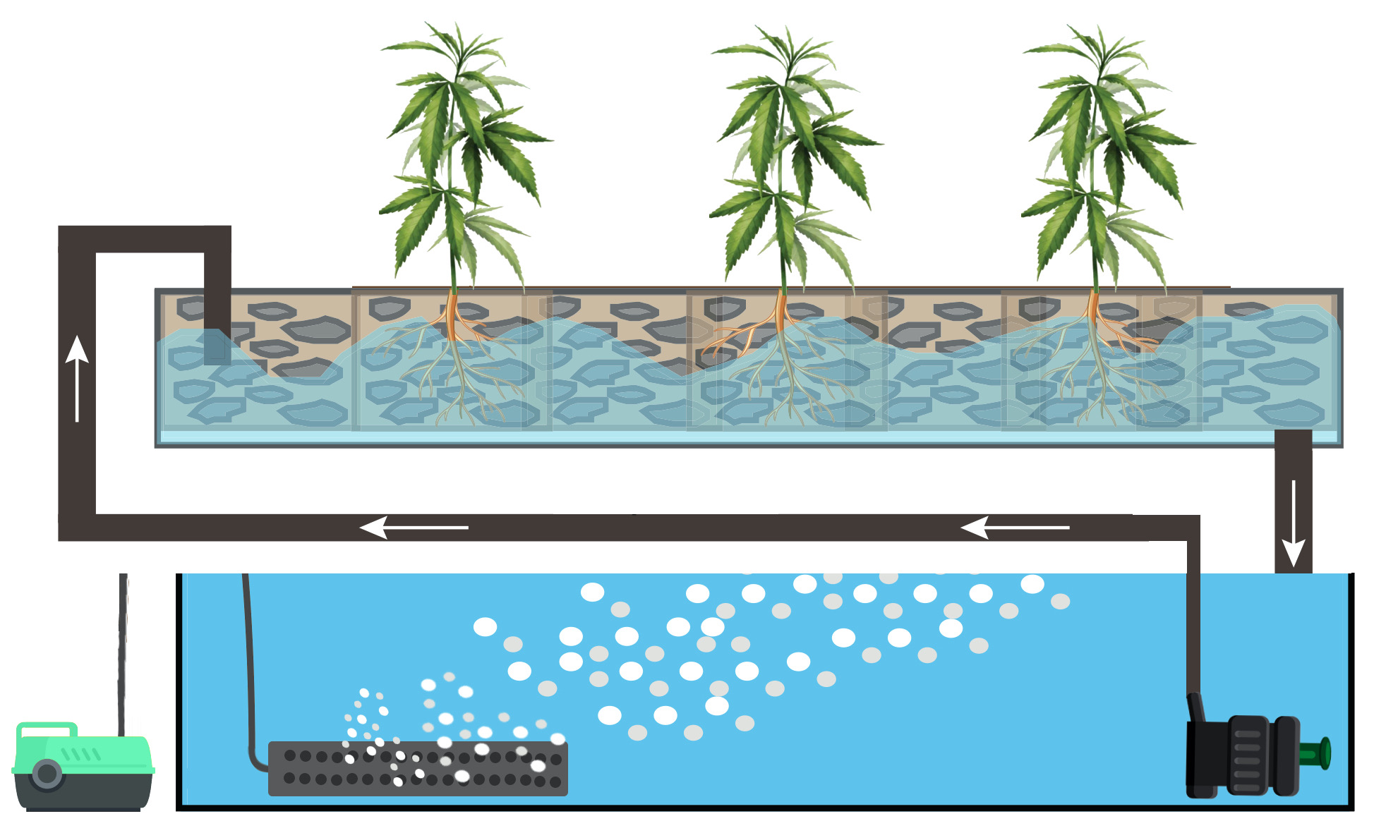 Pots in Ebb and Flow System Ebb and Flow Hydroponic System Diagram