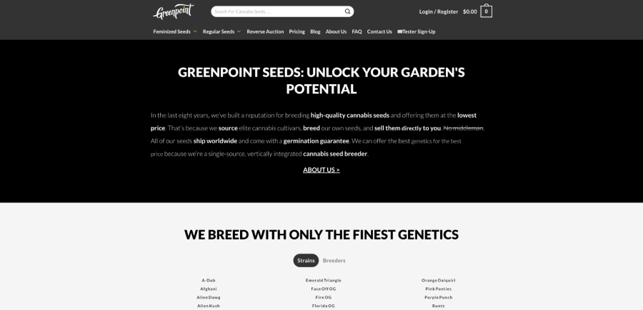 Green Point Seeds Homepage