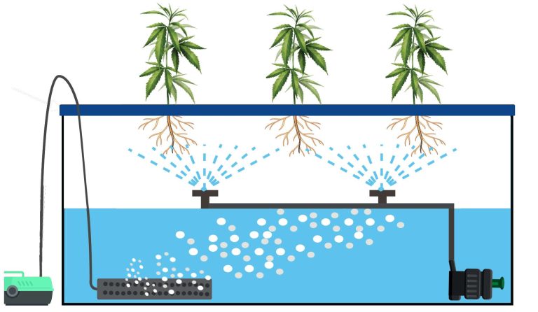 A Deep Dive into the Aeroponics Hydro System: The Future of Cannabis Cultivation 36 A Deep Dive into the Aeroponics Hydro System: The Future of Cannabis Cultivation 35