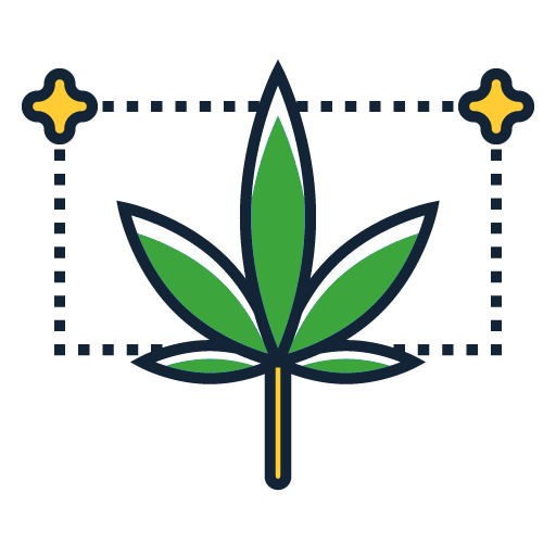 How to Grow Weed - Expert Tips & Cannabis Grow Guides 2 autoflowering cannabis icon