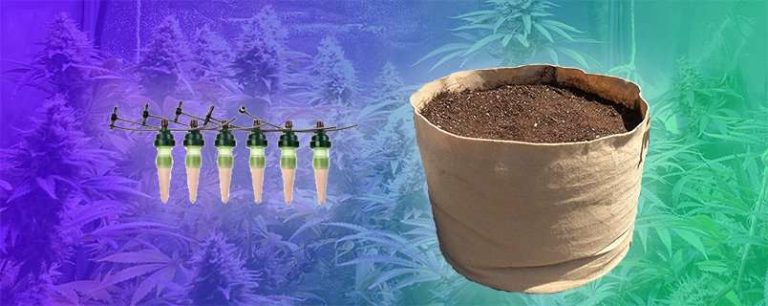 Best Automatic Watering System for Soil 26 Best Automatic Watering System for Soil 25