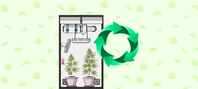 Best Grow Tent Setup - Perpetual Harvest 24 Best Grow Tent Setup - Perpetual Harvest 23