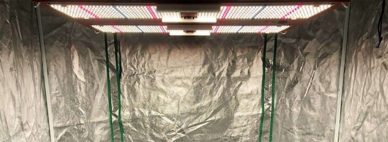 Best LED Grow Lights for Cannabis in 2026: Expert Reviews & Buying Guide 18 Best LED Grow Lights for Cannabis in 2026: Expert Reviews & Buying Guide 17