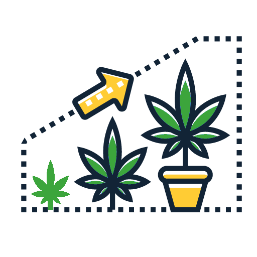 How to Grow Weed - Expert Tips & Cannabis Grow Guides 6 cannabis plant growth stages icon
