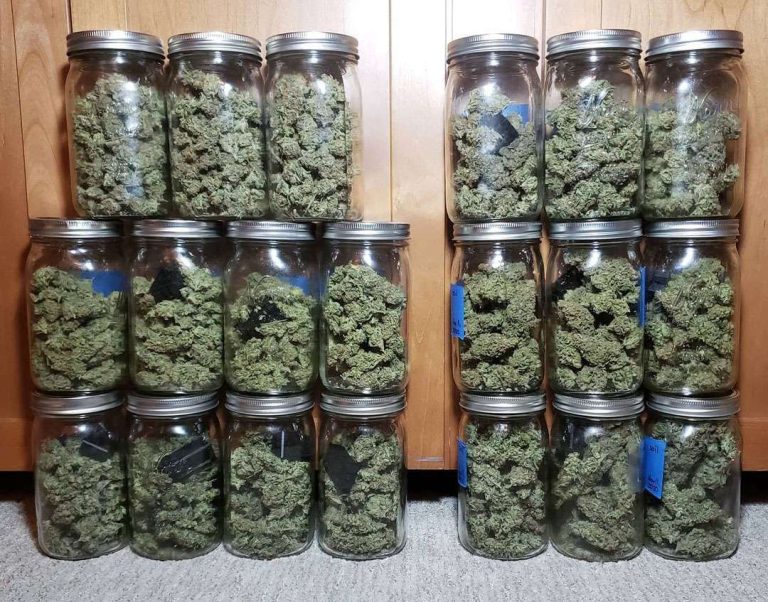 Cannabis Terpene Preservation: How to Protect Flavor During Drying & Curing 2 Cannabis Terpene Preservation: How to Protect Flavor During Drying & Curing 1