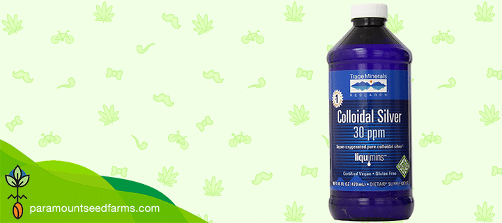 Colloidal Silver Review - Make Feminized Seeds 6 Colloidal Silver Review - Make Feminized Seeds 5