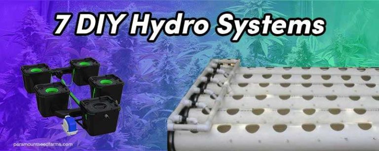 Simple DIY Hydroponic Systems (Tutorials & Diagrams) 2 Simple DIY Hydroponic Systems (Tutorials & Diagrams) 1