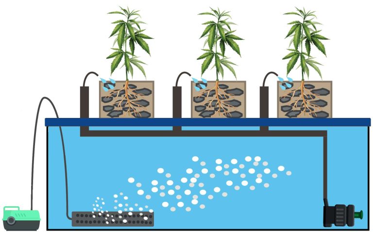 Drip Irrigation Hydroponic Systems 2 Drip Irrigation Hydroponic Systems 1