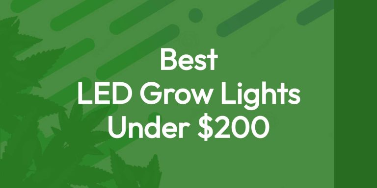 What Are The Best Cheap LED Grow Lights For Growing Cannabis? 6