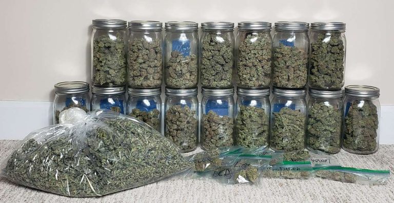 Best Curing Jars & Containers for Cannabis: Tested and Ranked (2026) 37