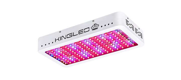 King Plus 1500W LED Grow Light Review 18 King Plus 1500W LED Grow Light Review 17