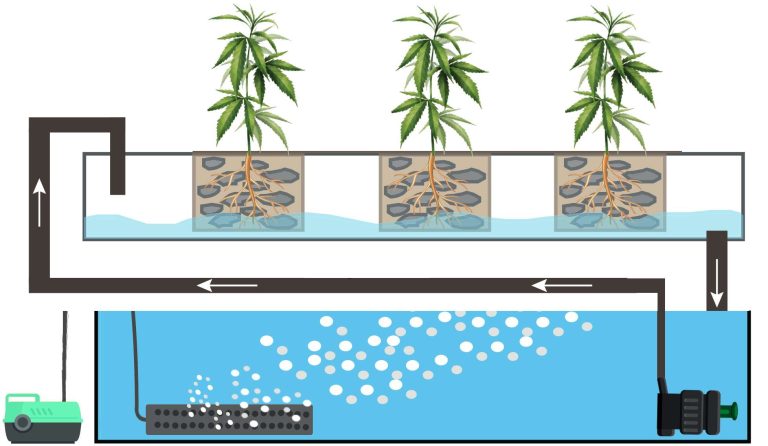 NFT Hydroponic Systems: Simple Guide 8 NFT Hydroponic Systems: Simple Guide 7