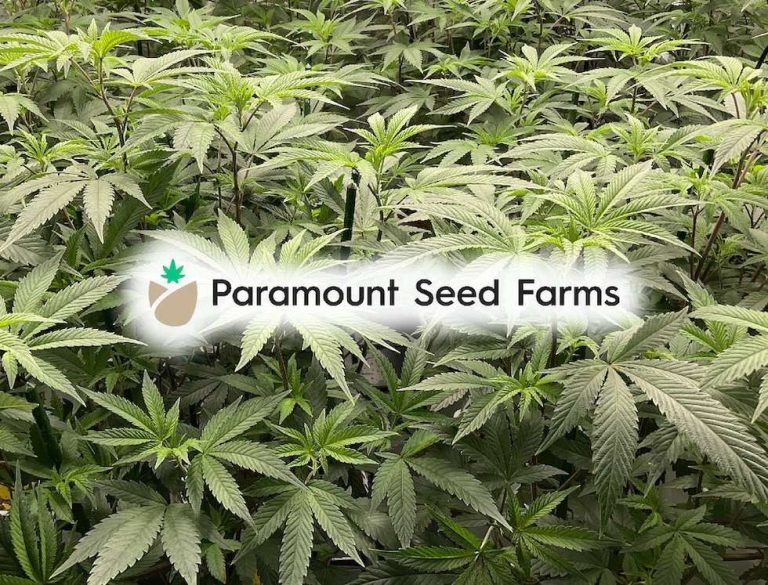 Build a Complete Grow Room For Under $500 12 Build a Complete Grow Room For Under $500 11