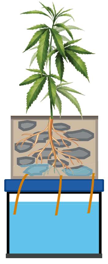 Wick Hydroponic System - Easy Weed Hydroponics 4 Wick Hydroponic System - Easy Weed Hydroponics 3